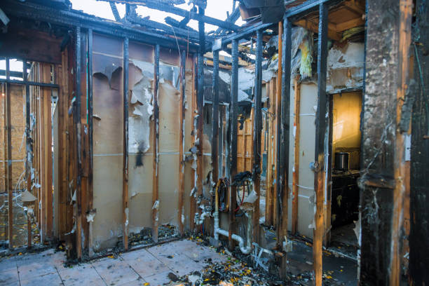 Professional Fire Damage Removal technician working in Anderson, SC